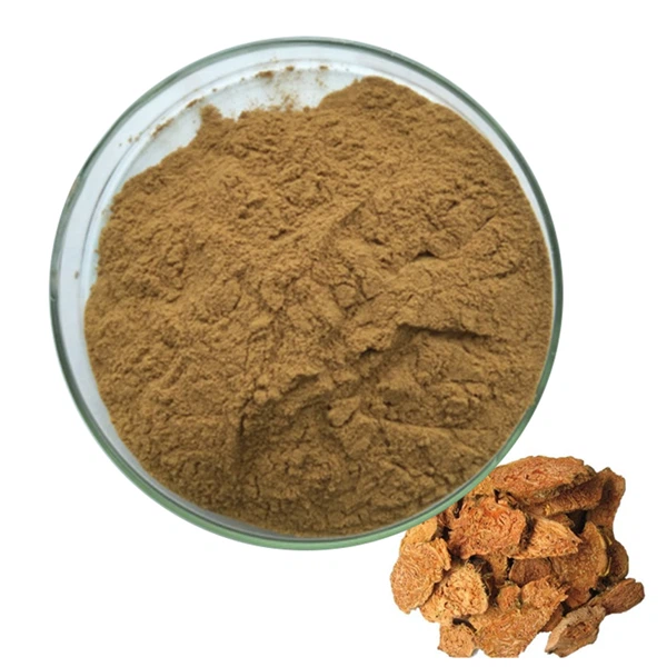 Rhodiola rosea extrato em pó