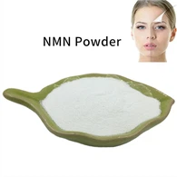 NMN em pó