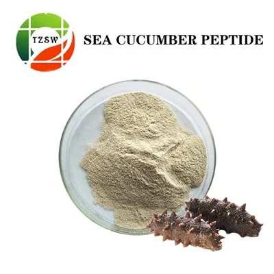 Peptídeo do pepino do mar